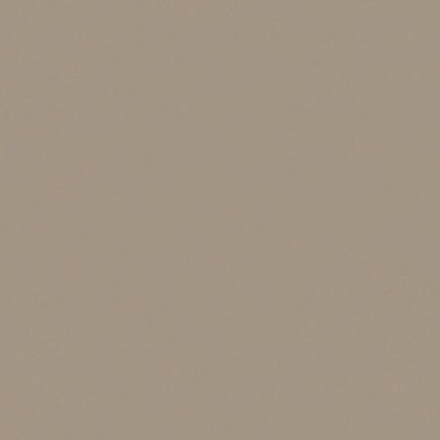 Casalgrande Padana Unicolore Technic Grigio Perla Levigato 8mm 30x30