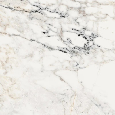 LaFaenza Aesthetica AePao6120Rm 120x120