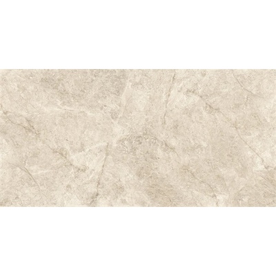 Monalisa tiles Marbles 5.5 CBP051020M 60x120