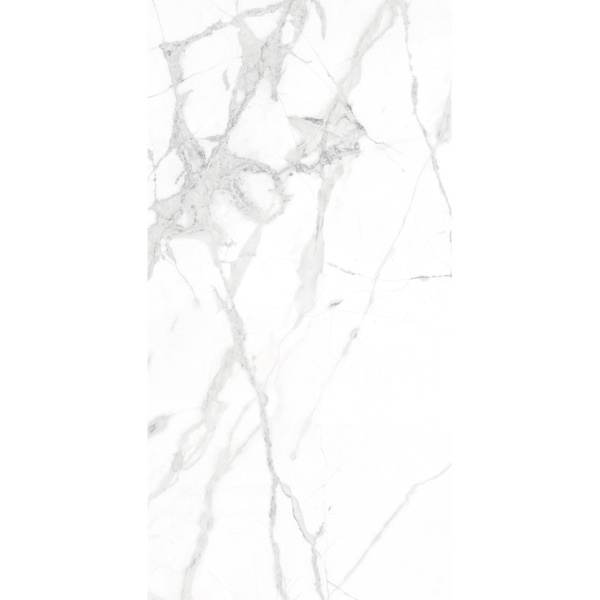 Arcadia Ceramica Diverso CR4023-A White Carving 60x120 - керамическая плитка и керамогранит