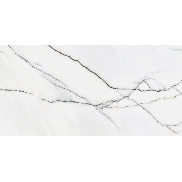 StaroSlim Marbles Panda White Matt 60x120