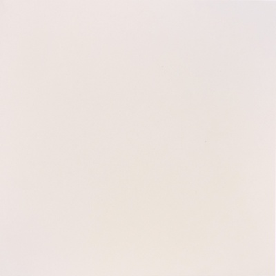 Casalgrande Padana Unicolore Technic Bianco B 40x40