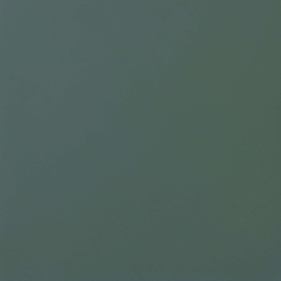 Casalgrande Padana Unicolore Technic Verde Levigato 8,5mm 40x40