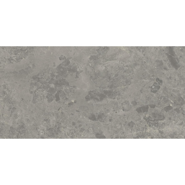 Caesar Portraits AG4P Rouen RT 30x60