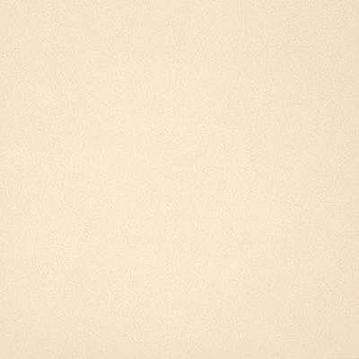 Casalgrande Padana Unicolore Technic 38301 Tozzetto Bianco Avorio 9x9