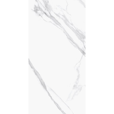 Staro Palacio Remix Statuario Polished 60x120