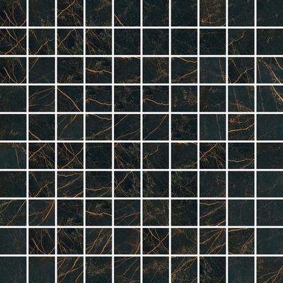 Versace Marble 240503 T100 Nero Saint Laurent 29.1x29.1