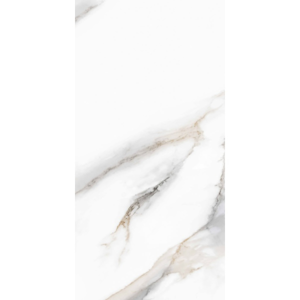 Pardis Ceramic Pazh Pelatin AC76509 Polished 10mm 60x120