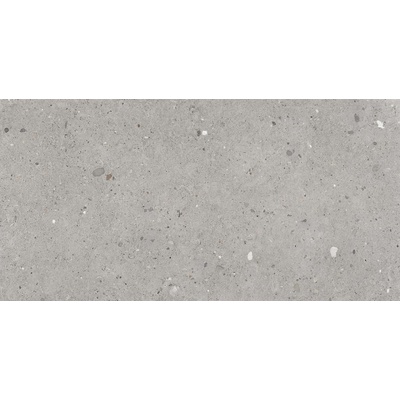 Provenza Ego EGP1 Grigio 60x120