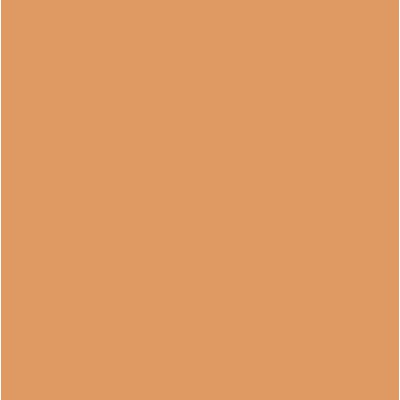 Rako Color One WAA19282 Оранжевая 15x15