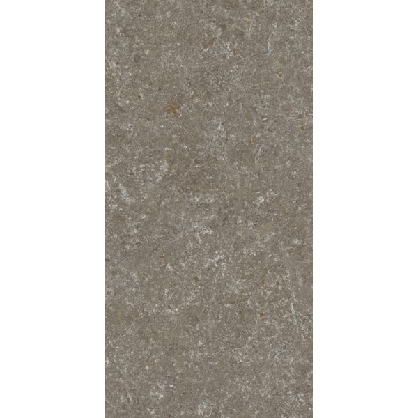 Stn Ceramica Verity Natural Mt Rect 60x120
