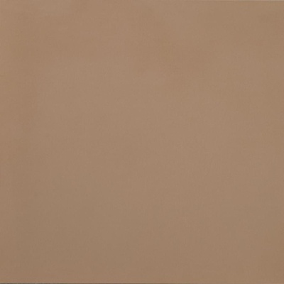 Casalgrande Padana R-evolution 11950036 Terra 60x60