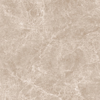 Neodom Marblestone N20461 Emperador Taupe Polished 120x120