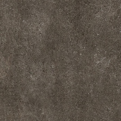 Casa Dolce Casa Sensi 768560 Brown Fossil 6 Mm 120x120