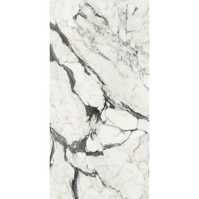Rex Ceramiche Les Bijoux de Rex 765660 Calac Altissimo Mat 6mm Ret 160x320