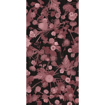 Sodai Bloom 7000135 Essenza Pink B 3.5 mm 50x100