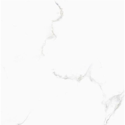 Sina Tile 60X60 2686 Versace White Polished 60x60