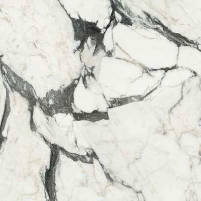 Rex Ceramiche Les Bijoux de Rex 766365 Calac Altissimo Glossy Ret 80x80