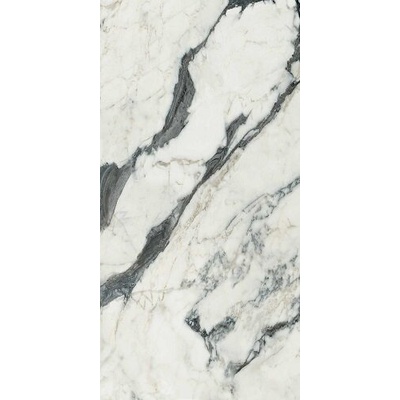 Rex Ceramiche Les Bijoux de Rex 765773 Calac Altissimo Mat 6mm Ret 60x120