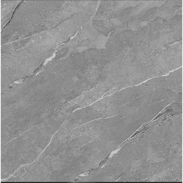 Pardis Ceramic Pazh Darbi 164743M Matt 60x60