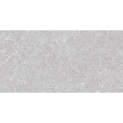 Neodom New N20436 Tokyo Grey Matt 60x120