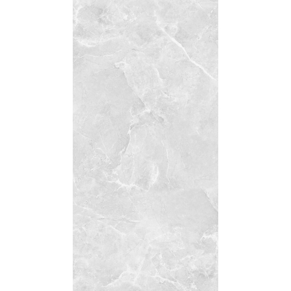 Belleza Ambition Silver (Carving) 60x120