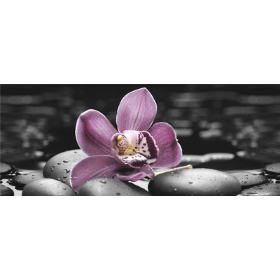 Mosplitka Lana Декор Спа Орхидея 1 50x20