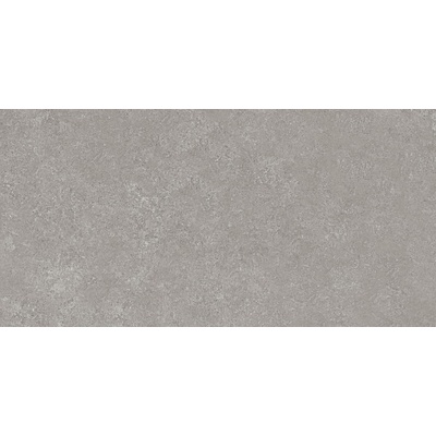 Panaria Prime Stone PZ9PM20 Silver Prime 50x100