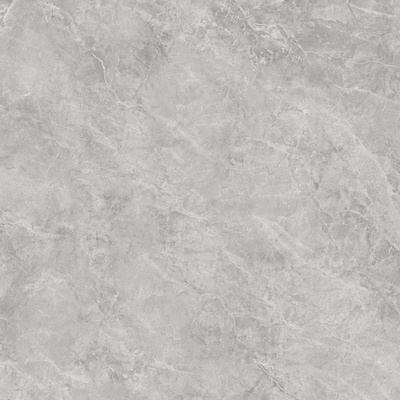 Sant Agostino Themar CSAGSA1212 Grigio Savoia 120x120