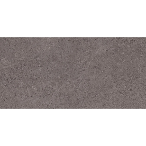 Emil ceramica Landscape EJRH Antracite Silktech 60x120