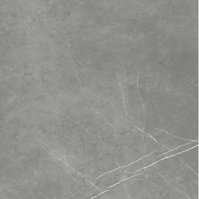 Atlas Concorde Russia Forte Dei Marmi 600010002407 Elegant Grey Matt Rett 120x120 - керамическая плитка и керамогранит