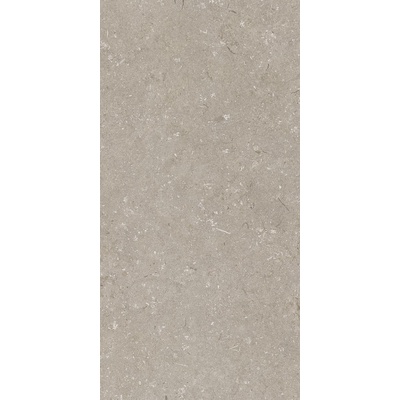 Dado Ceramica Shellstone 005468 Taupe 60x120