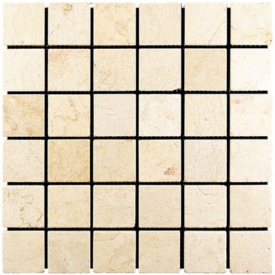 Natural mosaic Adriatica M021-48T 30.5x30.5