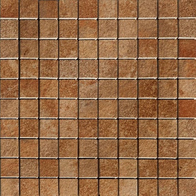 Casalgrande Padana Amazzonia Dragon Brown 2,5x2,5 Naturale 30x30