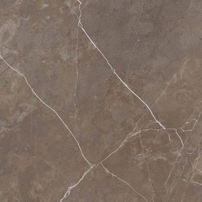 Staro Oasis Detroit Brown Polished 60x60