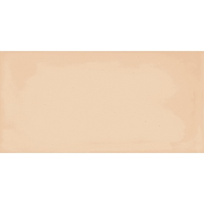 Imola ceramica Gesso Terracotta 10x20