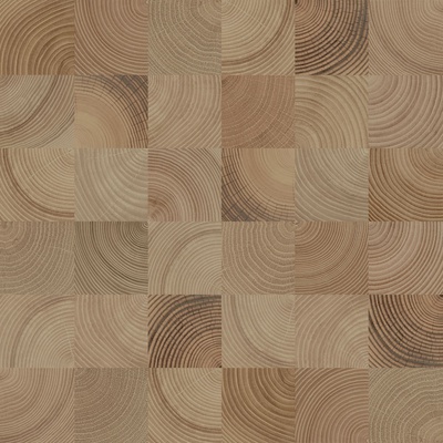 Керамин Шиен 4 Коричневый 50x50