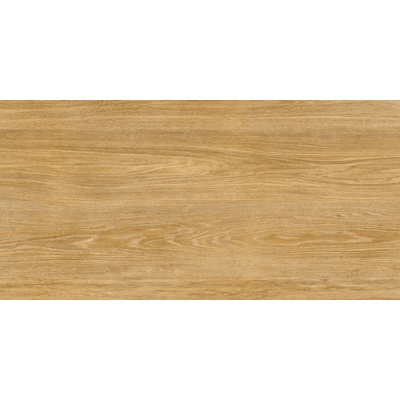 Керамика Будущего Идальго Граните Вуд Классик софт Медовый Lapp Rett 60 120x60