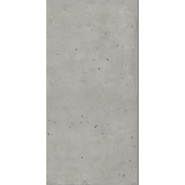 Italon Avantgarde (Авангард) 610010005694 Silver Натуральный 60x120