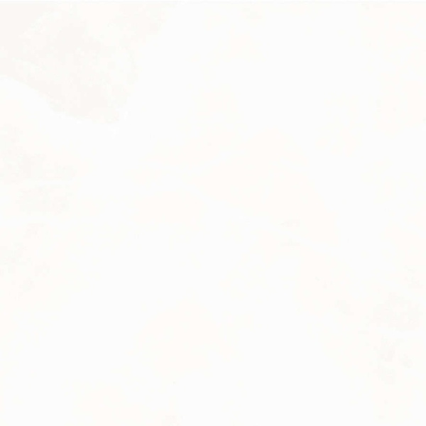 Ceradim Onyx Hope Светло-серый полированный 60 60x60