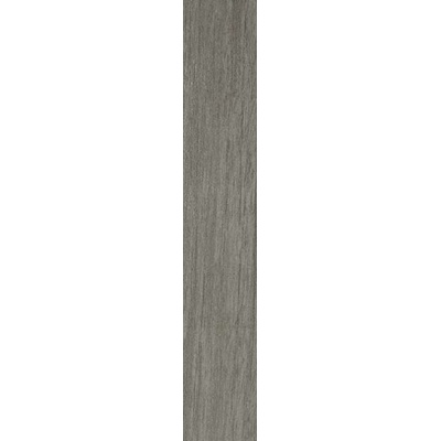 Casalgrande Padana Metalwood 7010095 Argento Naturale 10x60