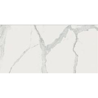 Rex Ceramiche I Classici Di Rex 747660 Statuario Chain B Glossy 120x240