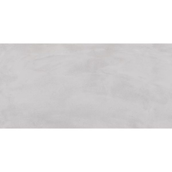 Ergon Pigmento ELNT Grigio Cenere Silktech Ret 60x120