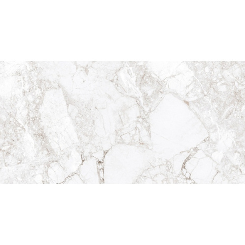 Absolut Gres Rossalia AB 1171G Natural Gloss 60x120