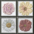 Stratos (Heralgi) Garden Flor Cold 15x15