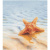 Ceradim Starfish КПН16Starfish1. 4.5x5 Ceradim Starfish КПН16Starfish1. 4.5x5