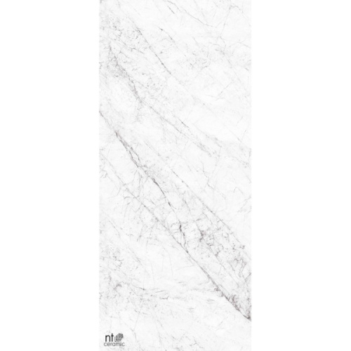 NT Ceramic Atlas Home NTT3602С Carrara Elite 120x280