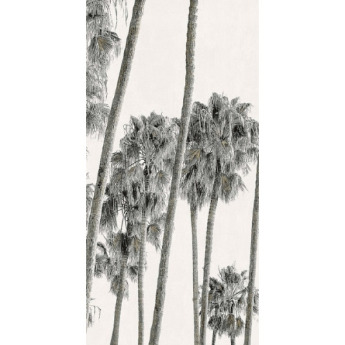 ABK Wide & Style 0009393 Hollywood B 120x280