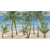 Ceradim Skyline Dec Palm Panno B 25x45 Ceradim Skyline Dec Palm Panno B 25x45