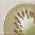 Opoczno Inwencja Kiwi Centro 10x10